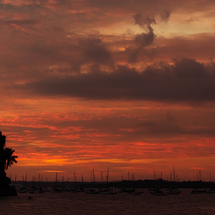 background_image